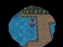 Ruta 3 en Pokémon Negro 2 y Blanco 2 — captura 1 Ruta 3 en Pokémon Negro 2 y Blanco 2 — captura 1