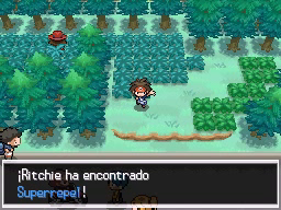 Ruta 5 en Pokémon Negro 2 y Blanco 2 — captura 2