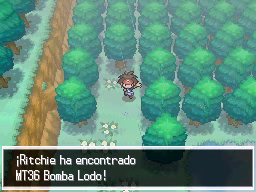 Ruta 8 en Pokémon Negro 2 y Blanco 2 — captura 2 Ruta 8 en Pokémon Negro 2 y Blanco 2 — captura 2