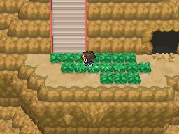 Calle Victoria en Pokémon Negro 2 y Blanco 2 — captura 2 Calle Victoria en Pokémon Negro 2 y Blanco 2 — captura 2