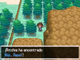 Ruta 13 en Pokémon Negro 2 y Blanco 2 — captura 2 Ruta 13 en Pokémon Negro 2 y Blanco 2 — captura 2