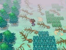 Boquete Gigante (2ª visita) en Pokémon Negro 2 y Blanco 2 — captura 1