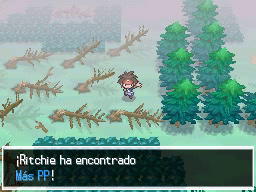 Boquete Gigante (2ª visita) en Pokémon Negro 2 y Blanco 2 — captura 2