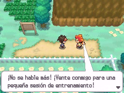 Pueblo Ocre en Pokémon Negro 2 y Blanco 2