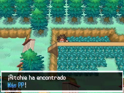 Ruta 22 en Pokémon Negro 2 y Blanco 2 — captura 1