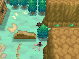 Calle Victoria en Pokémon Negro 2 y Blanco 2 — captura 2 Calle Victoria en Pokémon Negro 2 y Blanco 2 — captura 2