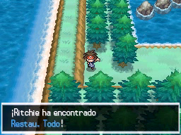 Ruta 1 en Pokémon Negro 2 y Blanco 2 — captura 2