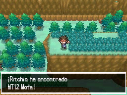 Ruta 23 en Pokémon Negro 2 y Blanco 2 — captura 1 Ruta 23 en Pokémon Negro 2 y Blanco 2 — captura 1