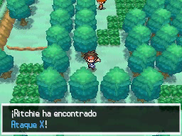 Ruta 20 (1ª visita) en Pokémon Negro 2 y Blanco 2 — captura 2 Ruta 20 (1ª visita) en Pokémon Negro 2 y Blanco 2 — captura 2