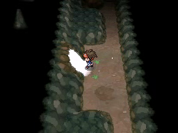 Boquete Gigante (2ª visita) en Pokémon Negro 2 y Blanco 2 — captura 1