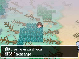 Boquete Gigante (2ª visita) en Pokémon Negro 2 y Blanco 2 — captura 2
