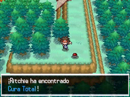 Ruta 2 en Pokémon Negro 2 y Blanco 2 — captura 2 Ruta 2 en Pokémon Negro 2 y Blanco 2 — captura 2