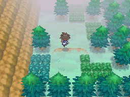 Boquete Gigante (2ª visita) en Pokémon Negro 2 y Blanco 2 — captura 2