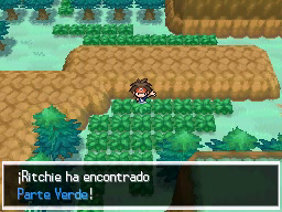 Ruta 23 en Pokémon Negro 2 y Blanco 2 — captura 1 Ruta 23 en Pokémon Negro 2 y Blanco 2 — captura 1