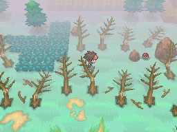 Boquete Gigante (2ª visita) en Pokémon Negro 2 y Blanco 2 — captura 1