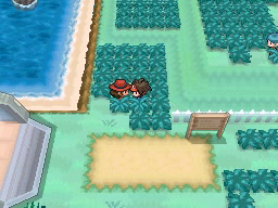 Ruta 1 en Pokémon Negro 2 y Blanco 2 — captura 2