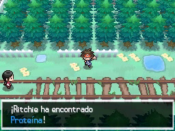Bosque Azulejo en Pokémon Negro 2 y Blanco 2 — captura 2 Bosque Azulejo en Pokémon Negro 2 y Blanco 2 — captura 2