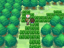 Ruta 6 en Pokémon Negro 2 y Blanco 2 — captura 2 Ruta 6 en Pokémon Negro 2 y Blanco 2 — captura 2