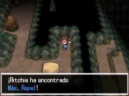 Boquete Gigante (1ª visita) en Pokémon Negro 2 y Blanco 2 — captura 2