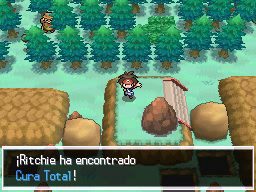 Ruta 23 en Pokémon Negro 2 y Blanco 2 — captura 2 Ruta 23 en Pokémon Negro 2 y Blanco 2 — captura 2