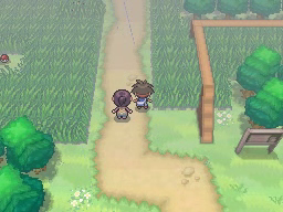 Ruta 7 en Pokémon Negro 2 y Blanco 2 — captura 2