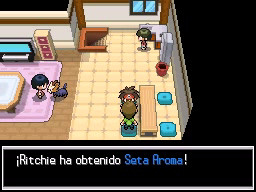 Pueblo Terracota en Pokémon Negro 2 y Blanco 2 — captura 1 Pueblo Terracota en Pokémon Negro 2 y Blanco 2 — captura 1