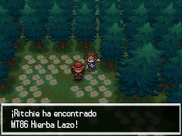 Bosque Azulejo en Pokémon Negro 2 y Blanco 2 — captura 1 Bosque Azulejo en Pokémon Negro 2 y Blanco 2 — captura 1