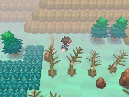 Boquete Gigante (2ª visita) en Pokémon Negro 2 y Blanco 2 — captura 1