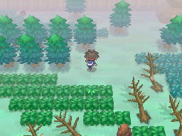 Boquete Gigante (2ª visita) en Pokémon Negro 2 y Blanco 2 — captura 1