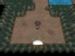 Boquete Gigante (2ª visita) en Pokémon Negro 2 y Blanco 2 — captura 1