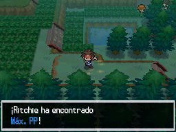 Bosque Azulejo en Pokémon Negro 2 y Blanco 2 — captura 1 Bosque Azulejo en Pokémon Negro 2 y Blanco 2 — captura 1