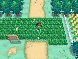 Ruta 1 en Pokémon Negro 2 y Blanco 2 — captura 1