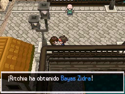 Puente Villa en Pokémon Negro 2 y Blanco 2 — captura 1 Puente Villa en Pokémon Negro 2 y Blanco 2 — captura 1