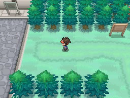 Ruta 13 en Pokémon Negro 2 y Blanco 2 — captura 2 Ruta 13 en Pokémon Negro 2 y Blanco 2 — captura 2
