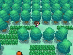 Ruta 20 (1ª visita) en Pokémon Negro 2 y Blanco 2 — captura 1 Ruta 20 (1ª visita) en Pokémon Negro 2 y Blanco 2 — captura 1