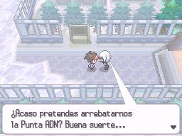 Ciudad Caolín en Pokémon Negro 2 y Blanco 2 — captura 1