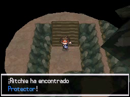 Ruta 3 en Pokémon Negro 2 y Blanco 2 — captura 1 Ruta 3 en Pokémon Negro 2 y Blanco 2 — captura 1