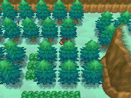 Ruta 23 en Pokémon Negro 2 y Blanco 2 — captura 1 Ruta 23 en Pokémon Negro 2 y Blanco 2 — captura 1