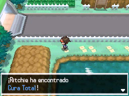 Ruta 11 en Pokémon Negro 2 y Blanco 2 — captura 1