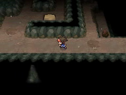Boquete Gigante (2ª visita) en Pokémon Negro 2 y Blanco 2 — captura 2