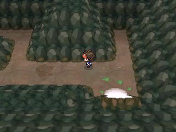 Calle Victoria en Pokémon Negro 2 y Blanco 2 — captura 2 Calle Victoria en Pokémon Negro 2 y Blanco 2 — captura 2