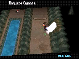 Ruta 22 en Pokémon Negro 2 y Blanco 2 — captura 1