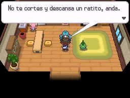 Ruta 23 en Pokémon Negro 2 y Blanco 2 — captura 2 Ruta 23 en Pokémon Negro 2 y Blanco 2 — captura 2