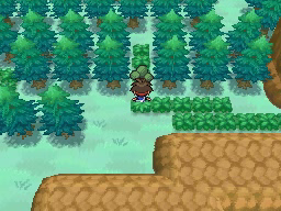Ruta 23 en Pokémon Negro 2 y Blanco 2 — captura 2 Ruta 23 en Pokémon Negro 2 y Blanco 2 — captura 2