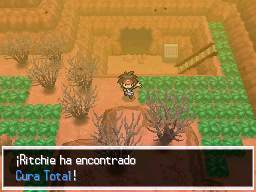 Pueblo Chamota en Pokémon Negro 2 y Blanco 2 — captura 2