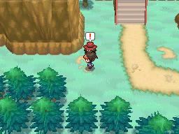 Ruta 23 en Pokémon Negro 2 y Blanco 2 — captura 1 Ruta 23 en Pokémon Negro 2 y Blanco 2 — captura 1