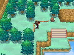 Ruta 23 en Pokémon Negro 2 y Blanco 2 — captura 1 Ruta 23 en Pokémon Negro 2 y Blanco 2 — captura 1