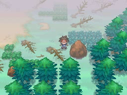 Boquete Gigante (2ª visita) en Pokémon Negro 2 y Blanco 2 — captura 1