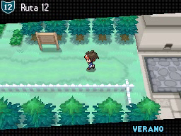 Ruta 12 en Pokémon Negro 2 y Blanco 2 — captura 1