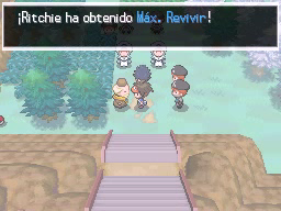 Boquete Gigante (1ª visita) en Pokémon Negro 2 y Blanco 2 — captura 1